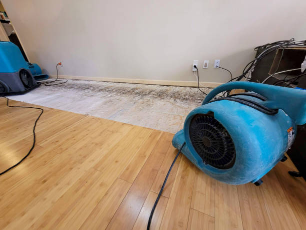 Reliable Storm Water Damage Restoration contractor in Racine, OH by Hirex Water Damage