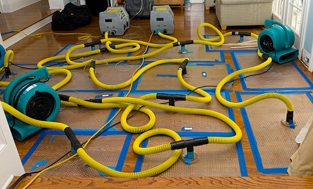 Professional Storm Water Damage Restoration technician working in Racine, OH